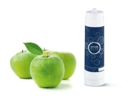 Grohe Piezas De Recambio - Filtro Intercambiable 2600 Litros 40412001 -Franke Shop 9912d323f453cea5f048cf4d